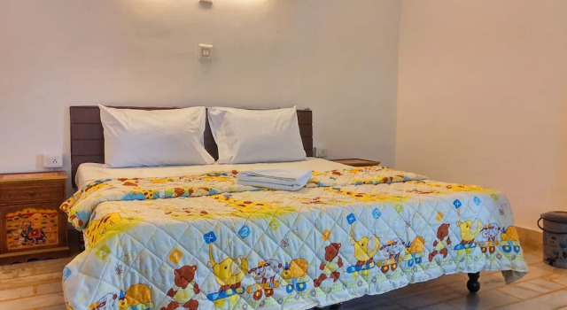 Номер Superior Dreamyard Udaipur