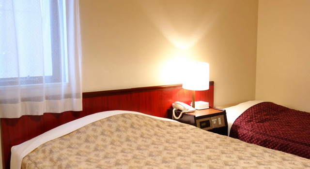 Двухместная студия Hotel Green Park