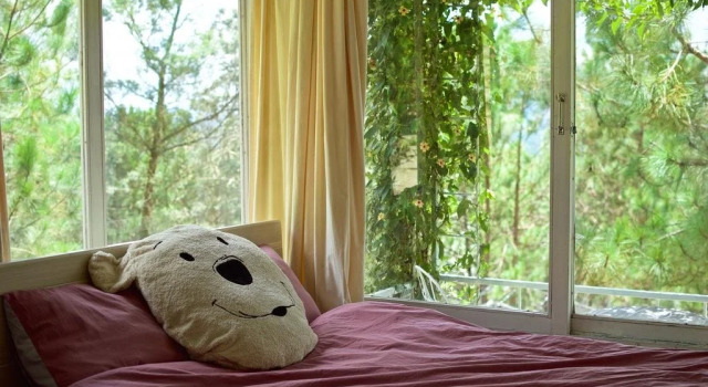 Pine Hill Homestay Dalat, Book Hotel Da Lat Lam Dong