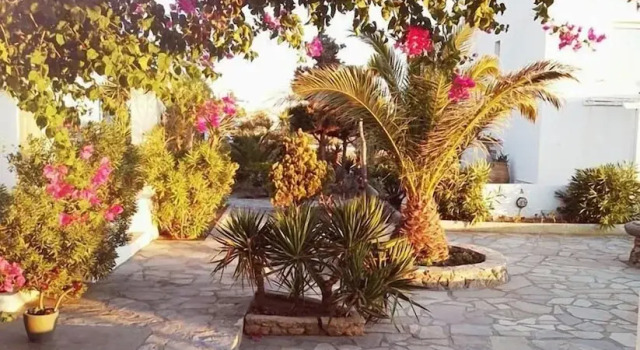 Номер Premium Bellou Suites