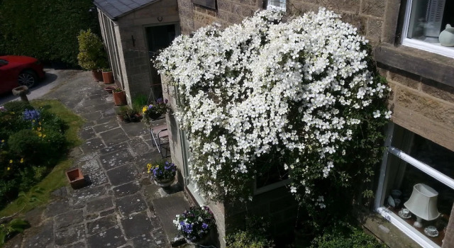 The Cottage