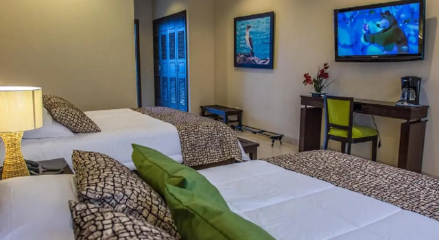 Четырёхместный номер Standard Palo Santo Galápagos Hotel