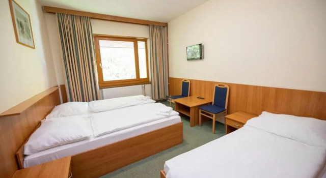 Номер Standard Parkhotel Harrachov