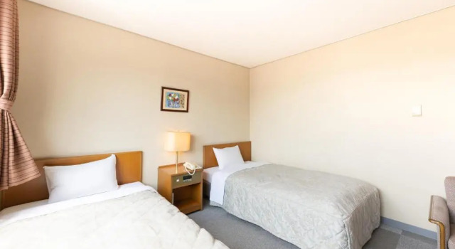 Двухместный номер Standard Tabist Kanko Business Hotel Matsuyama Hida Takayama