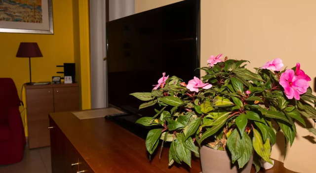 Апартаменты c 1 комнатой Cozy Penthouse Holiday House