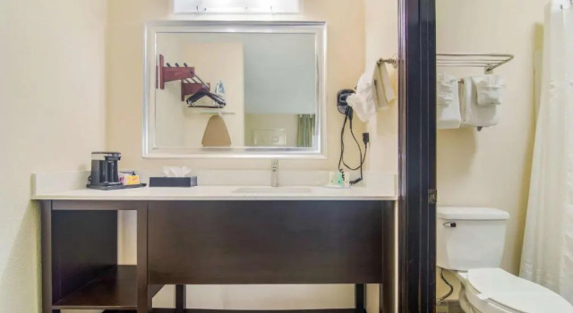 Номер Standard Quality Inn & Suites Lake City