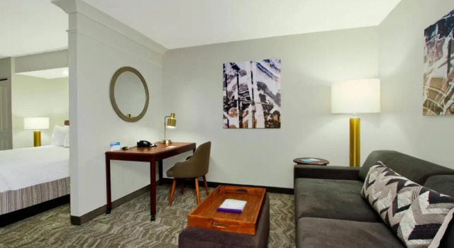 Двухместный люкс SpringHill Suites by Marriott Chesapeake Greenbrier