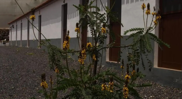 Albergue Rural La Cañada