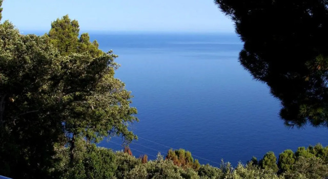 Двухместный номер Superior Bordoy Continental Valldemossa