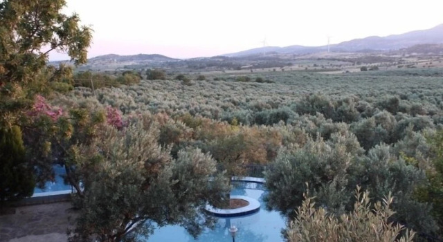 Трёхместный люкс Cumhur Yesilirmak Butiqe Hotel