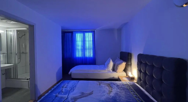 Трёхместный номер Standard Hotel Hirschen Hinwil