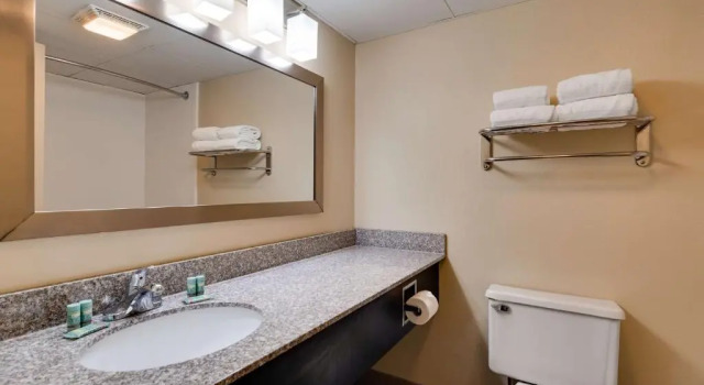 Номер Standard Best Western Plaza Inn