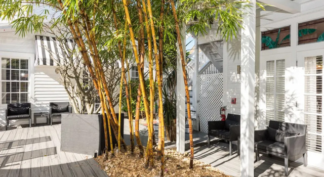 Двухместный люкс Superior Alexanders Guesthouse-Adult Exclusive, LGBTQ Friendly