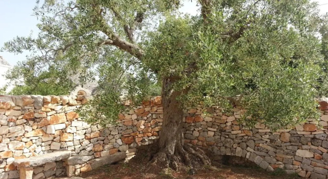 Коттедж c 1 комнатой с видом на сад Almapetra Trulli Resort