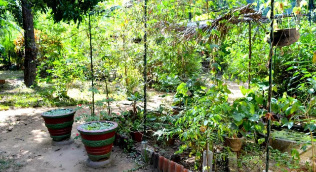 Sigiriya Freedom Lodge