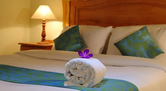 Cassells Jungle Resorts