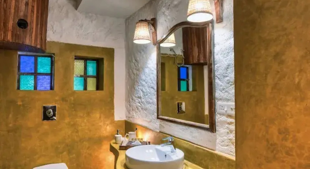 Номер Classic The Earth At Ranthambore