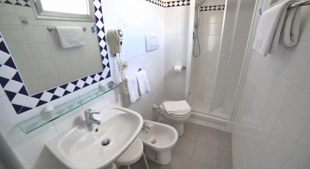Номер Economy Hotel Villa Rosa