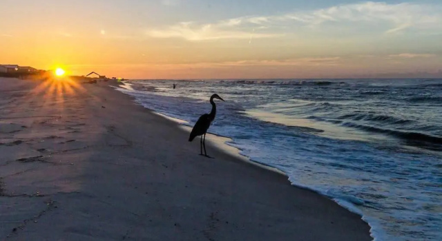 Sandpiper 12A-Beach Blessings Completely updated Beachfront Condo-Heated Pool, Prenota Hotel Hotel a Alabama con piscina, Piscina