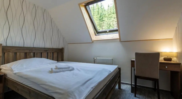 Двухместный номер Standard Parkhotel Harrachov