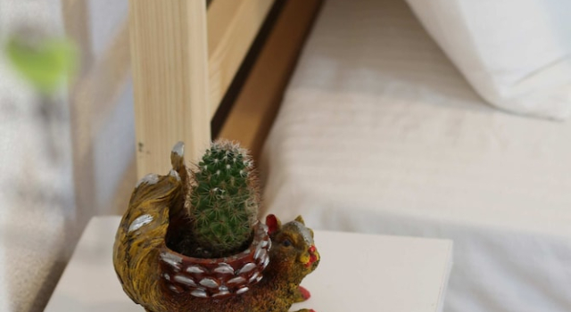 Номер Standard The Macaron Poyraz Guesthouse