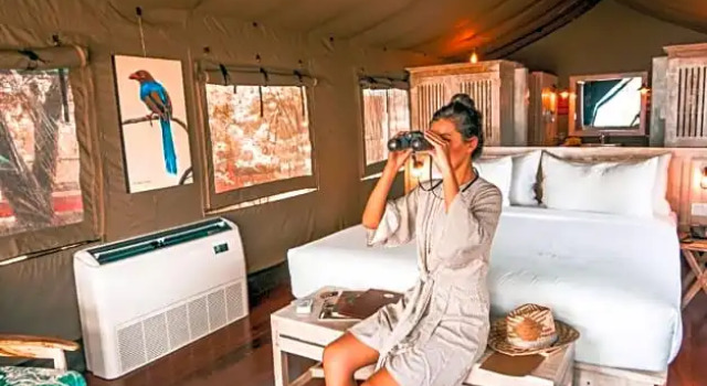 Номер Deluxe с видом на озеро Flameback Eco Lodge