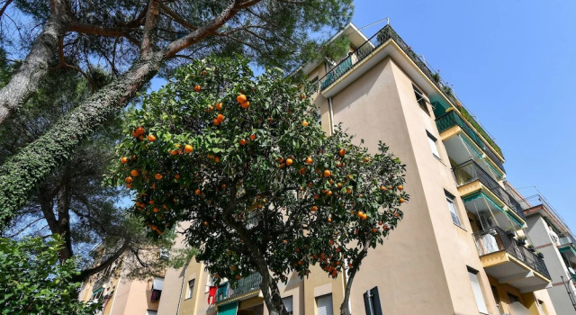 Una Finestra su Villa Durazzo by Wonderful Italy