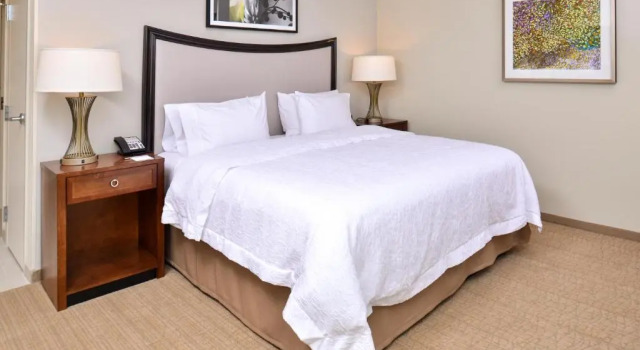 Двухместный номер Hampton Inn & Suites Orlando/Downtown South - Medical Center