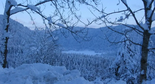 Шале Chalet en Couleurs