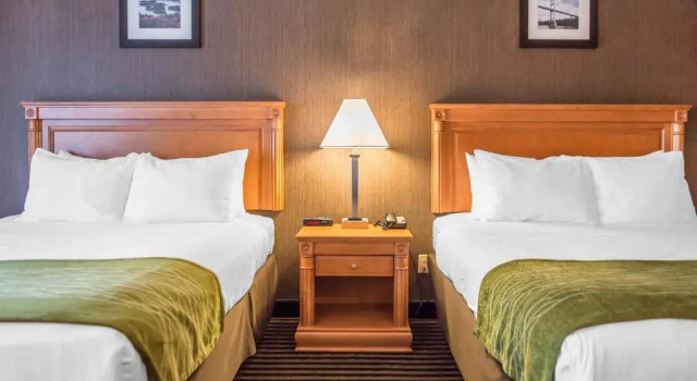 Четырёхместный номер Standard Цокольный этаж Comfort Inn
