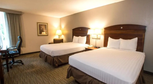 Standard Vierer Zimmer Greenstay Hotel & Suites