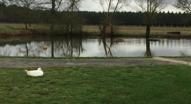 Коттедж La maison des canards