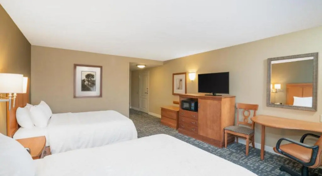 Четырёхместный номер Deluxe Hampton Inn & Suites Murfreesboro