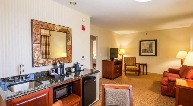Двухместный люкс Hilton Garden Inn Milwaukee Northwest Conference Center