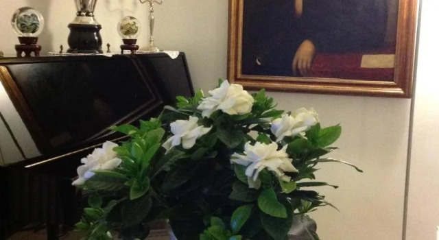 Masseria Boezio Ostuni, Buchen Sie Hotel Costa Merlata Brindisi