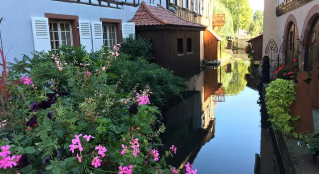 Апартаменты Ferienwohnung am Waldrand