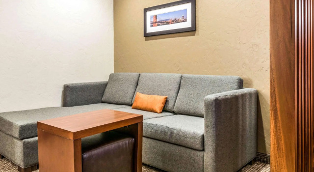 Двухместный люкс Comfort Suites Florence - Cincinnati South