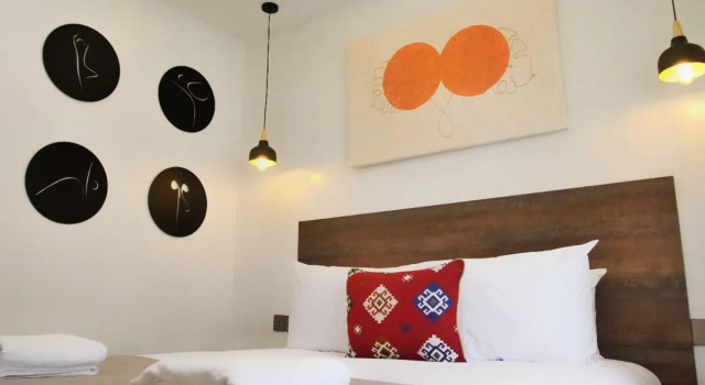Zendo Suite