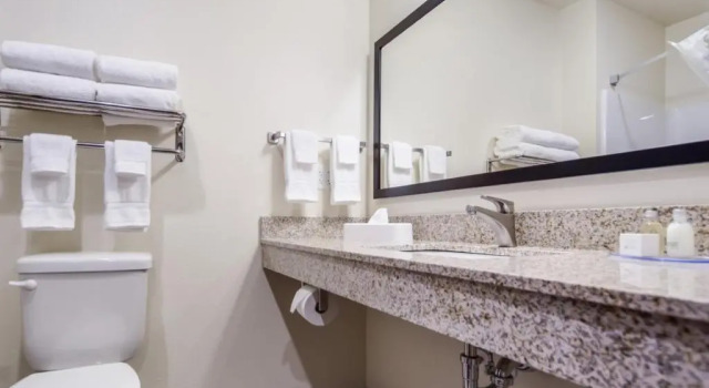 Люкс Cobblestone Hotel & Suites - Knoxville