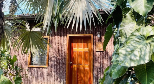 Семейный номер Grand Mariposa Jungle Lodge