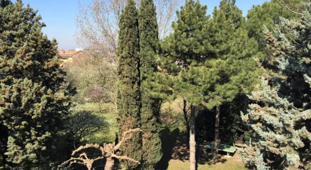 Апартаменты Attico con terrazza Villa Marianna