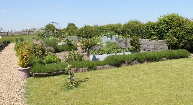 Cort Green Rabbit Glamping