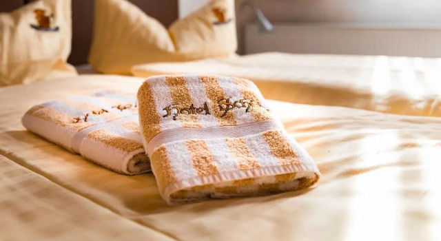Номер Standard Hotel Schütze Superior