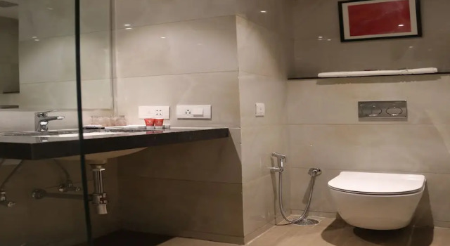 Номер Standard Lords Inn Udaipur