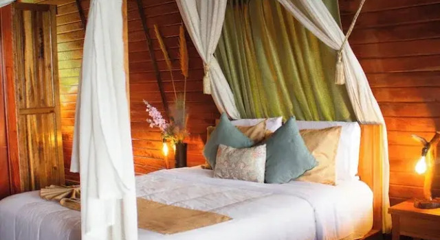 Двухместный номер Standard с видом на окрестности Heimatlos Rainforest Lodge
