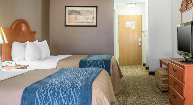 Четырёхместный номер Standard Comfort Inn Kalamazoo
