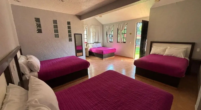 Семейный номер Standard Hotel Real Campestre Tepetoci