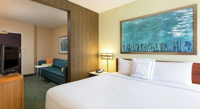 Двухместная студия Austin Marriott South