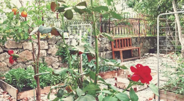Pandispanya Butik Pansiyon, Prenota Hotel Akcapinar Turchia