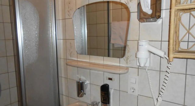 Одноместный номер Standard Hotel zum Josefshof